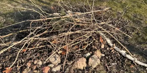 Stos suchych gałęzi i liści na trawie, gotowy do rozpalenia. Czy można palić gałęzie na wsi? To zależy od przepisów.